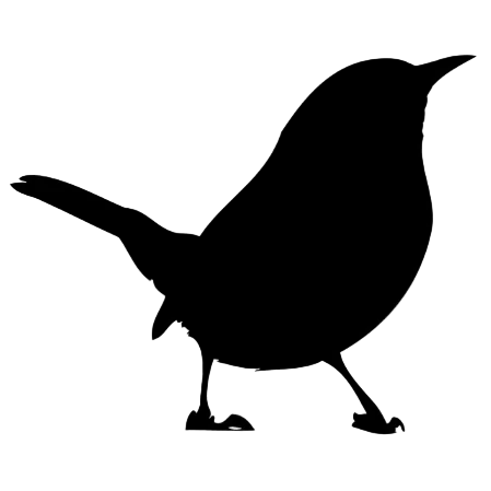 Bluebell Soap Company